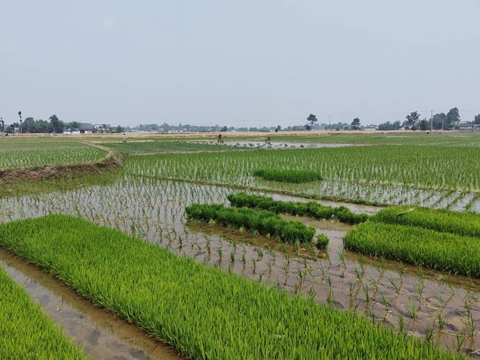 说明: a9f37a51fc3f87563ddef61d9163de3